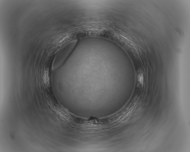 X0000112901252200908211508