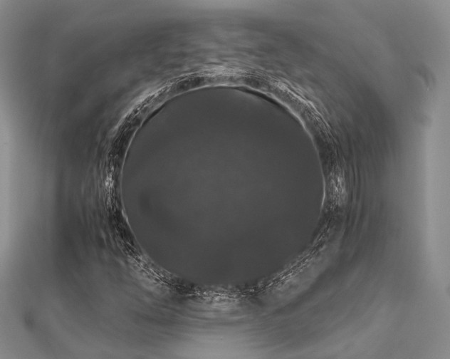 X0000112901254200908211508