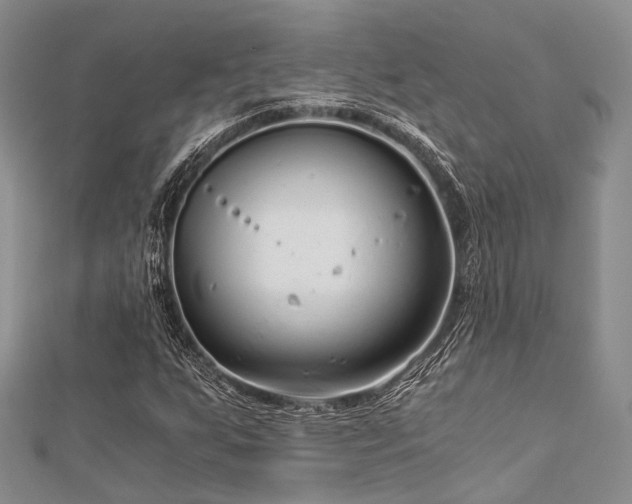 X0000112901255200908211508