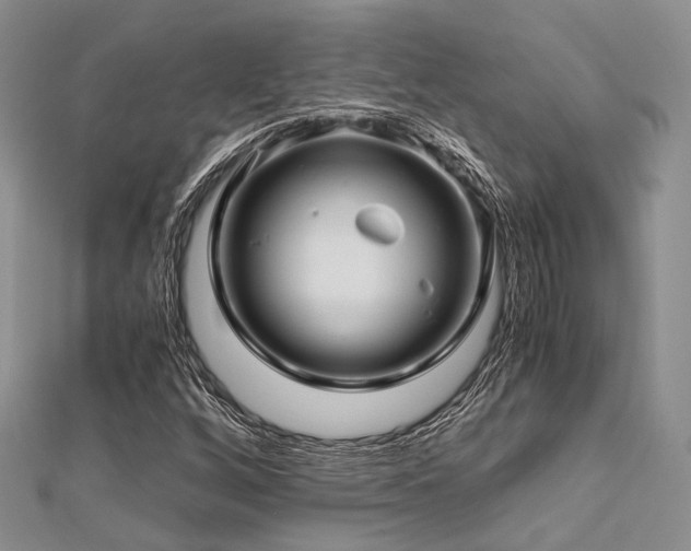 X0000112901256200908211508