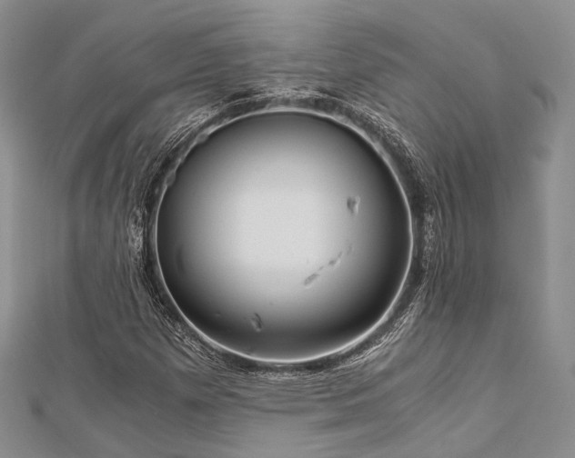 X0000112901257200908211508