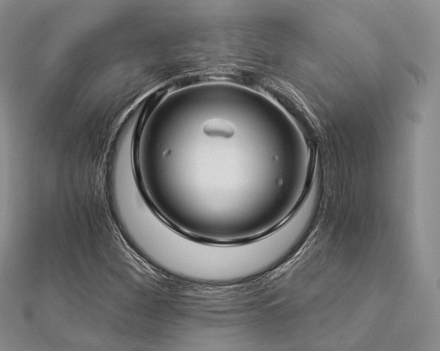 X0000112901260200908211508
