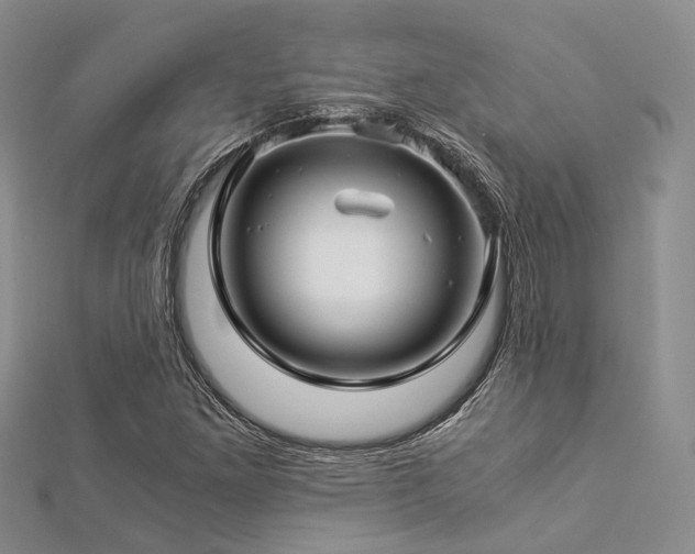 X0000112901261200908211508