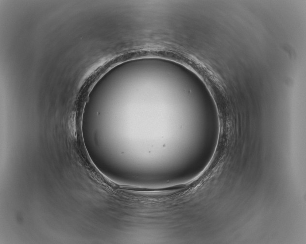 X0000112901262200908211508