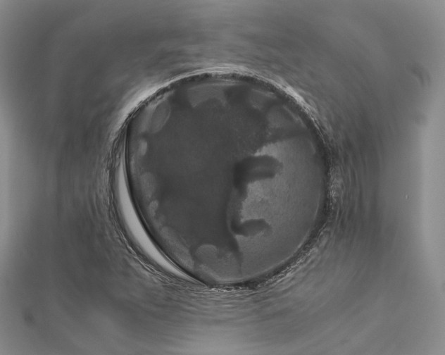 X0000112901263200908211508