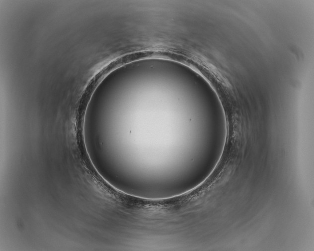 X0000112901264200908211508