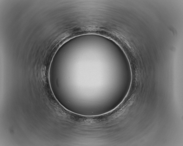 X0000112901265200908211508