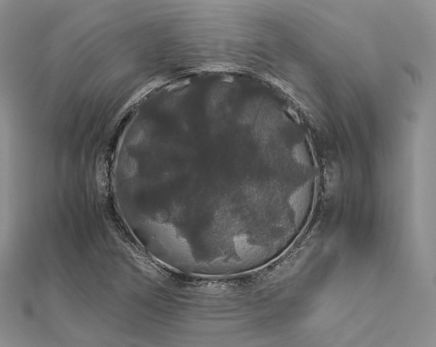 X0000112901266200908211508