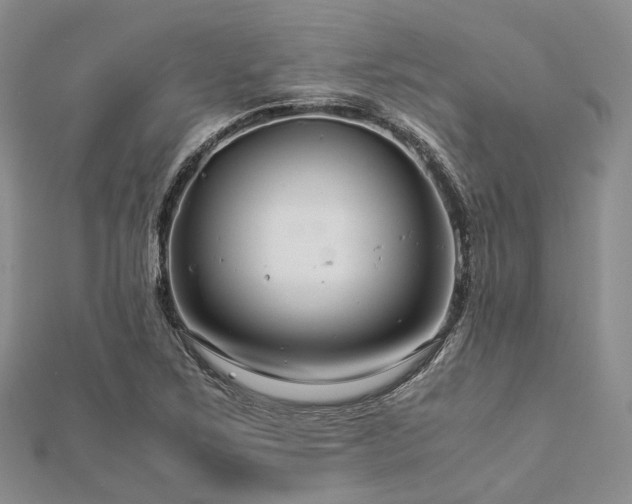 X0000112901267200908211508
