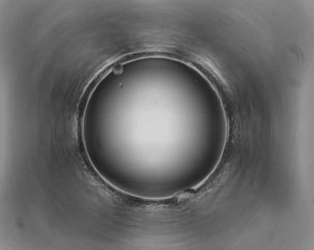 X0000112901268200908211508