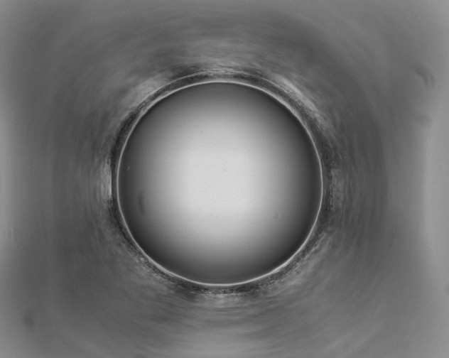X0000112901269200908211508