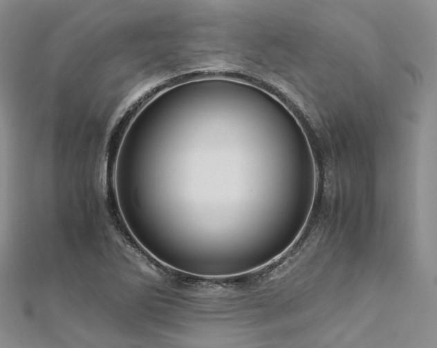 X0000112901270200908211508