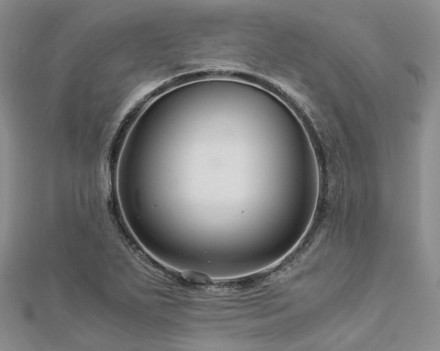 X0000112901271200908211508