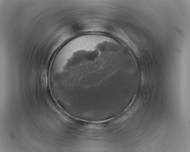 X0000112901274200908211508