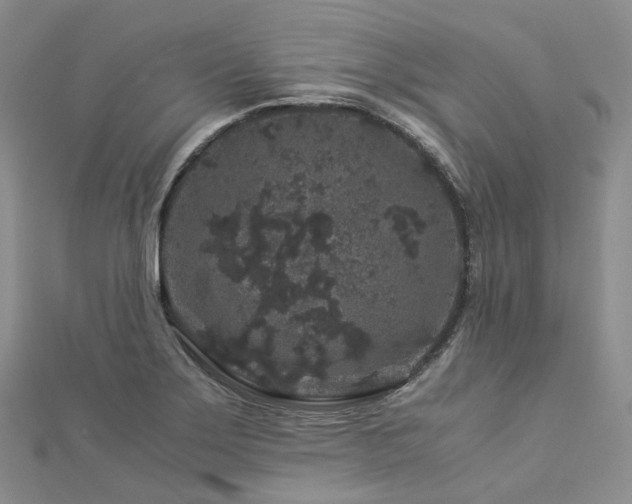X0000112901275200908211508
