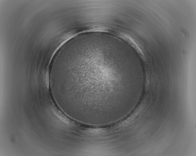 X0000112901276200908211508