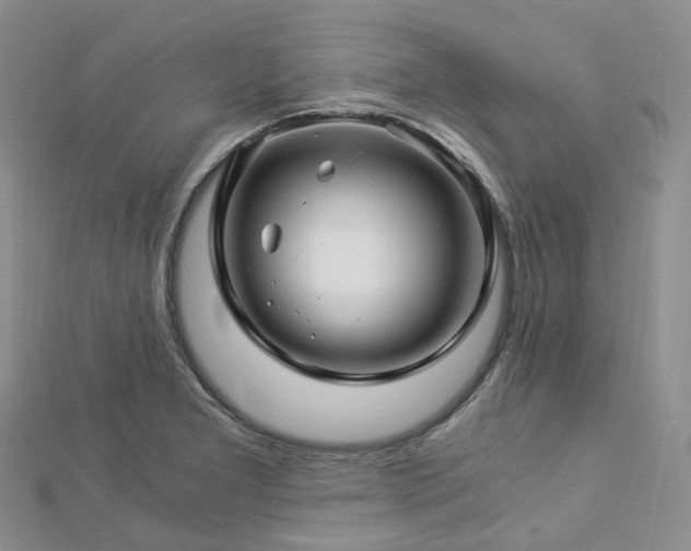 X0000112901277200908211508