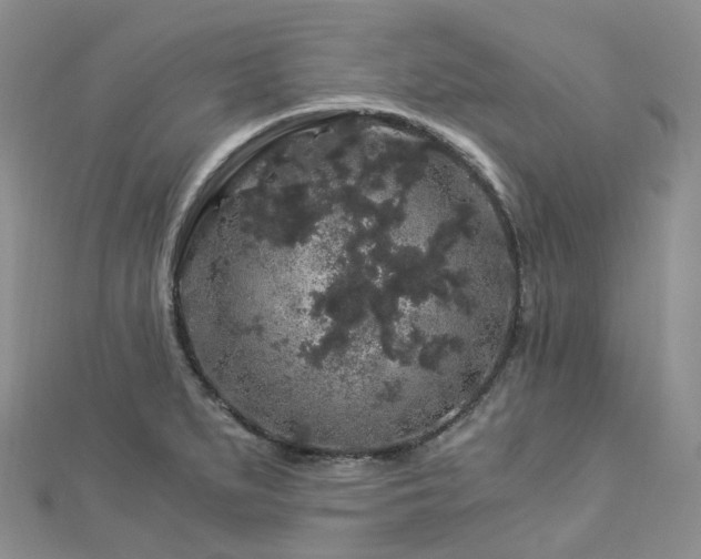 X0000112901279200908211508