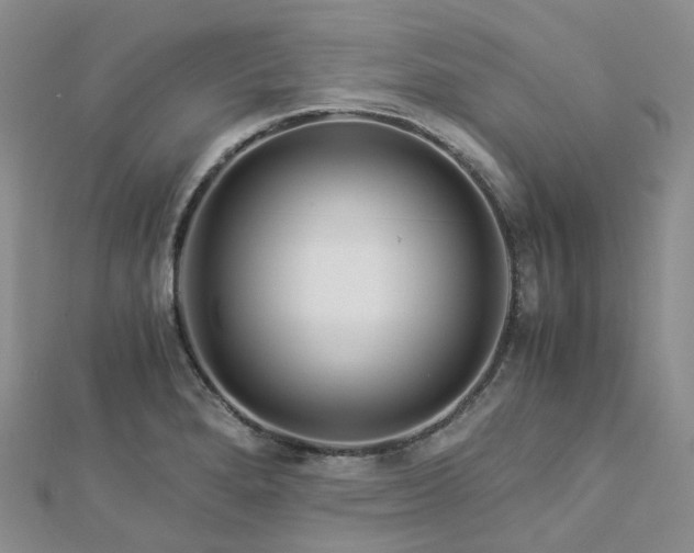 X0000112901280200908211508