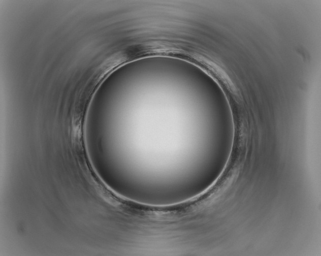 X0000112901281200908211508