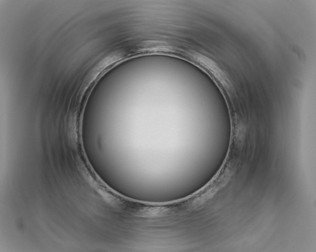 X0000112901282200908211508