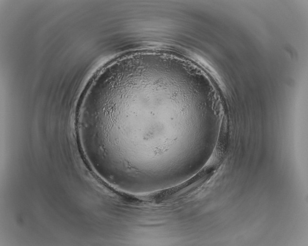 X0000112901283200908211508