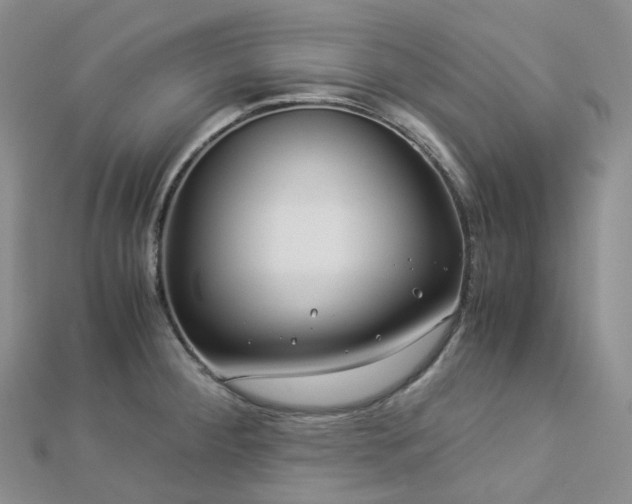 X0000112901284200908211508