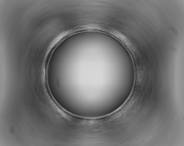 X0000112901286200908211508