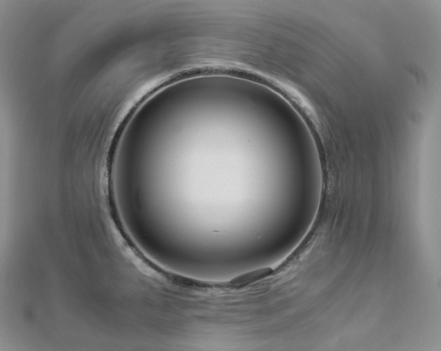 X0000112901287200908211508