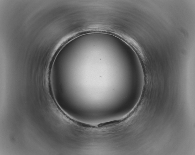 X0000112901288200908211508