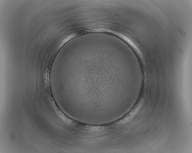 X0000112901289200908211508