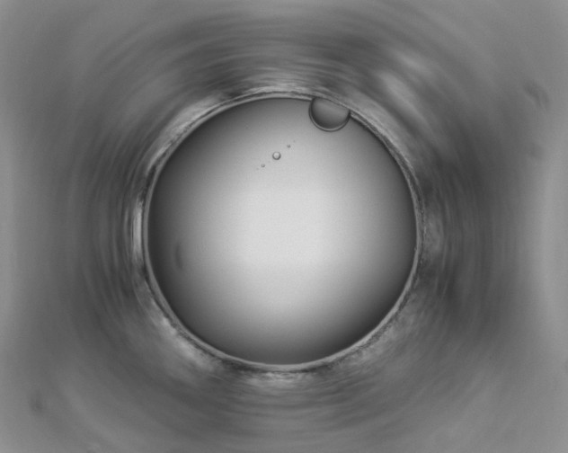 X0000112901290200908211508