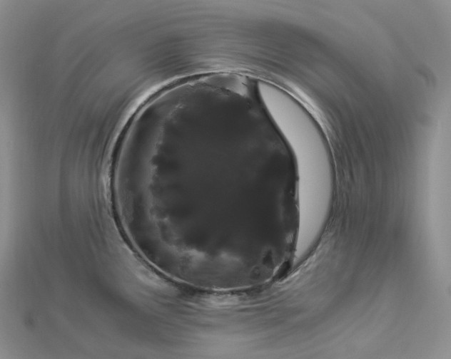 X0000112901291200908211508