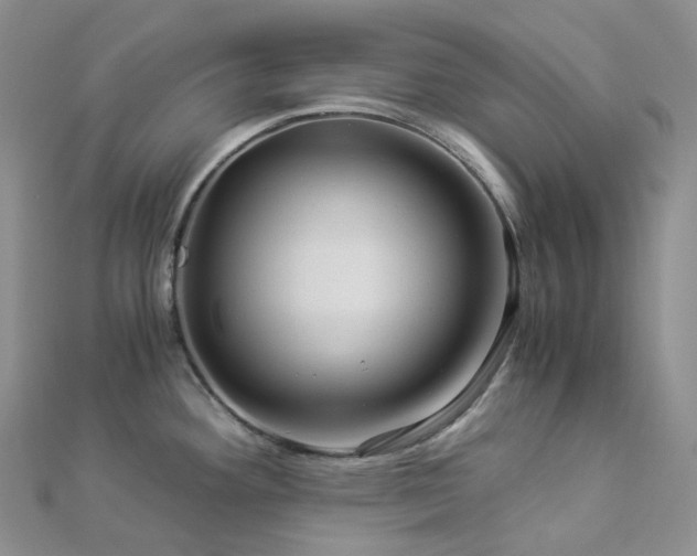 X0000112901292200908211508