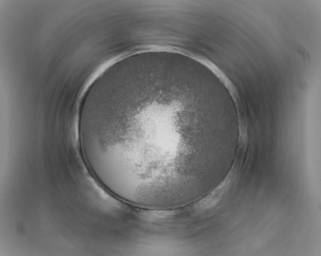 X0000112901294200908211508