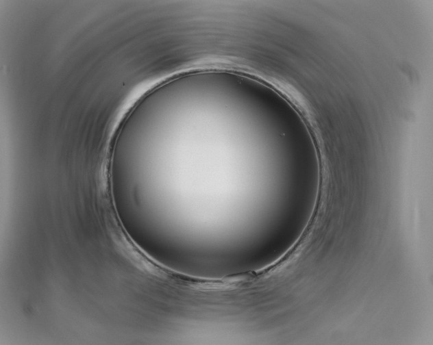 X0000112901296200908211508