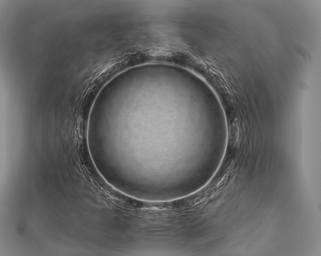 X0000112901301200908211507