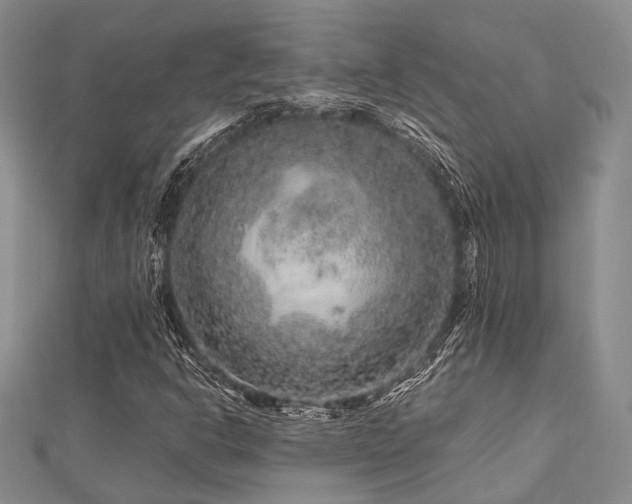 X0000112901302200908211507