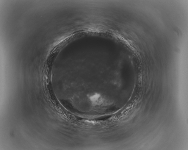 X0000112901303200908211507