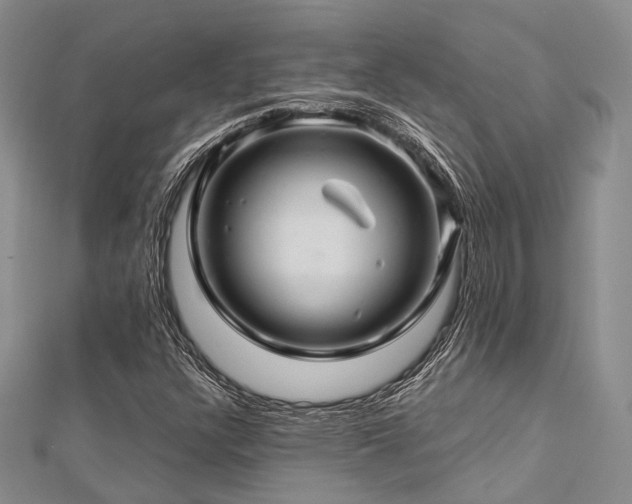 X0000112901304200908211507