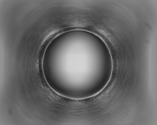 X0000112901307200908211507