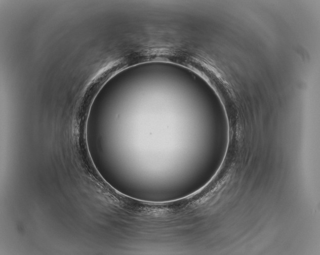 X0000112901309200908211507