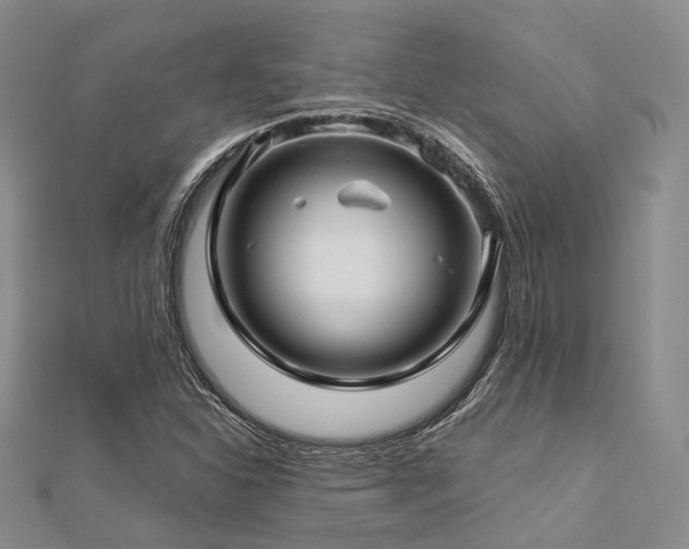 X0000112901310200908211507