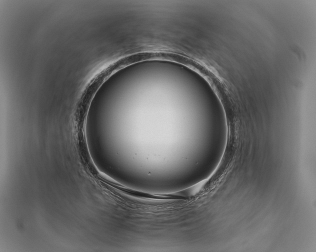 X0000112901311200908211507
