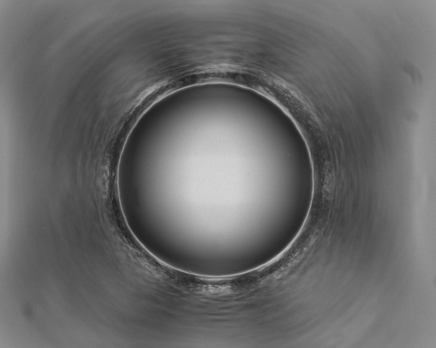 X0000112901313200908211507