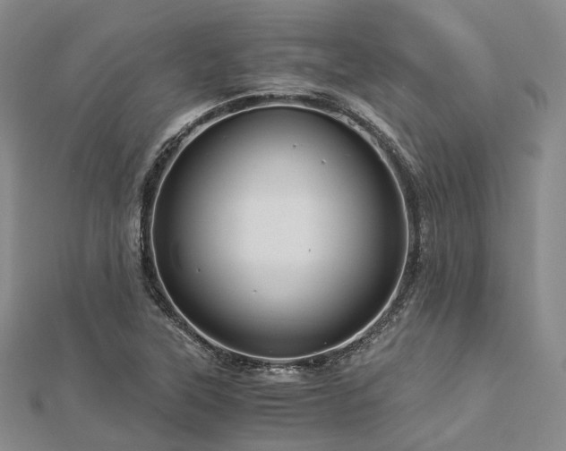 X0000112901315200908211507