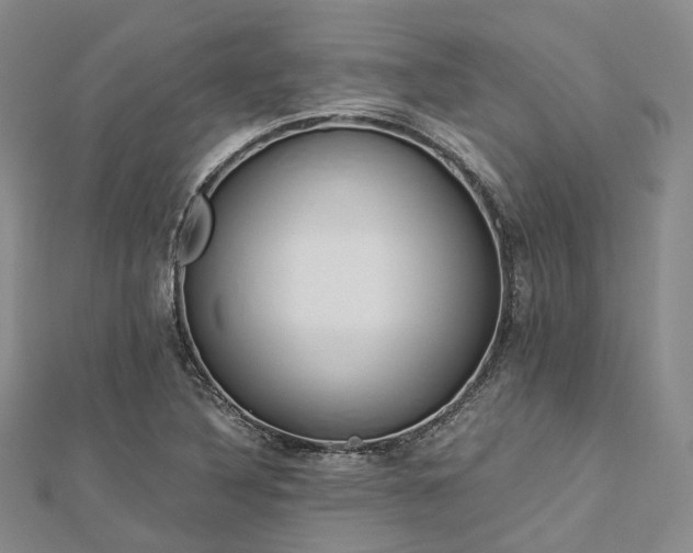 X0000112901316200908211507