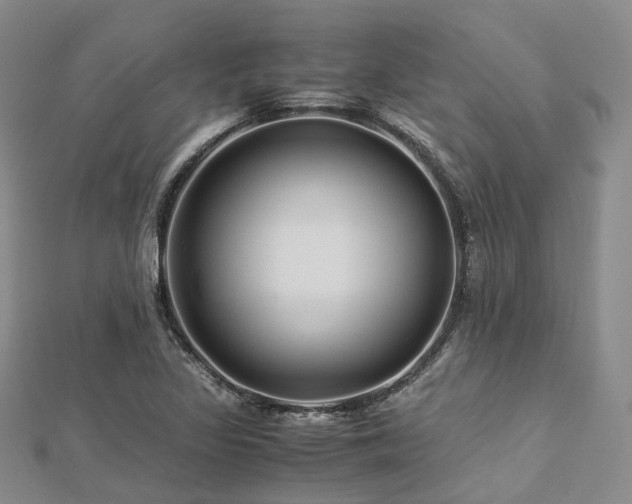 X0000112901317200908211507