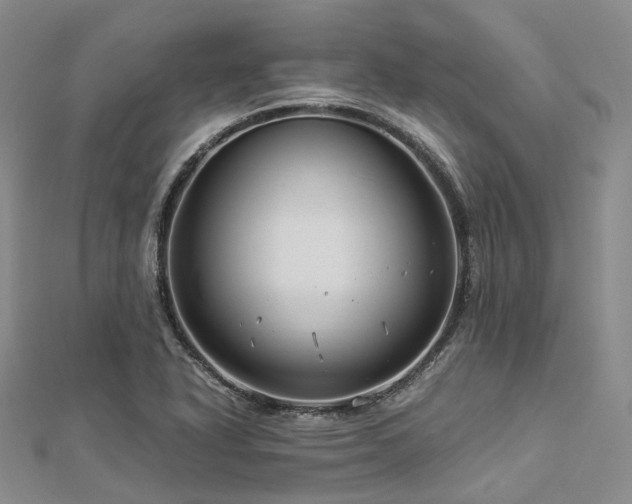 X0000112901318200908211507