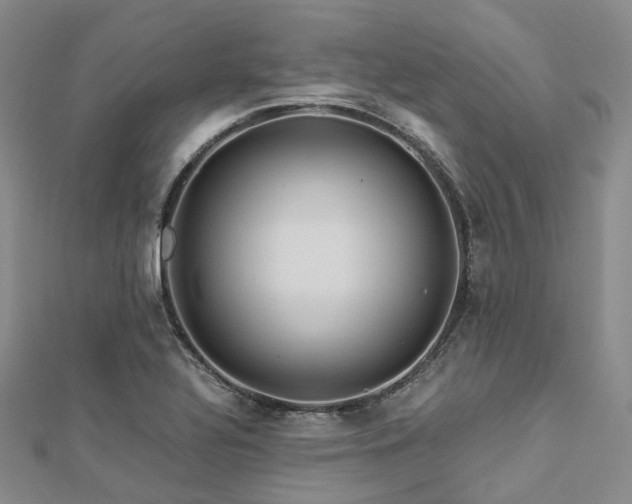 X0000112901320200908211507
